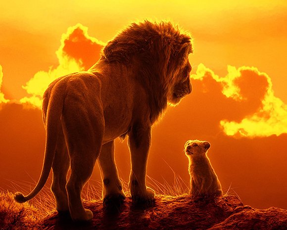 Leisure Options tweet media