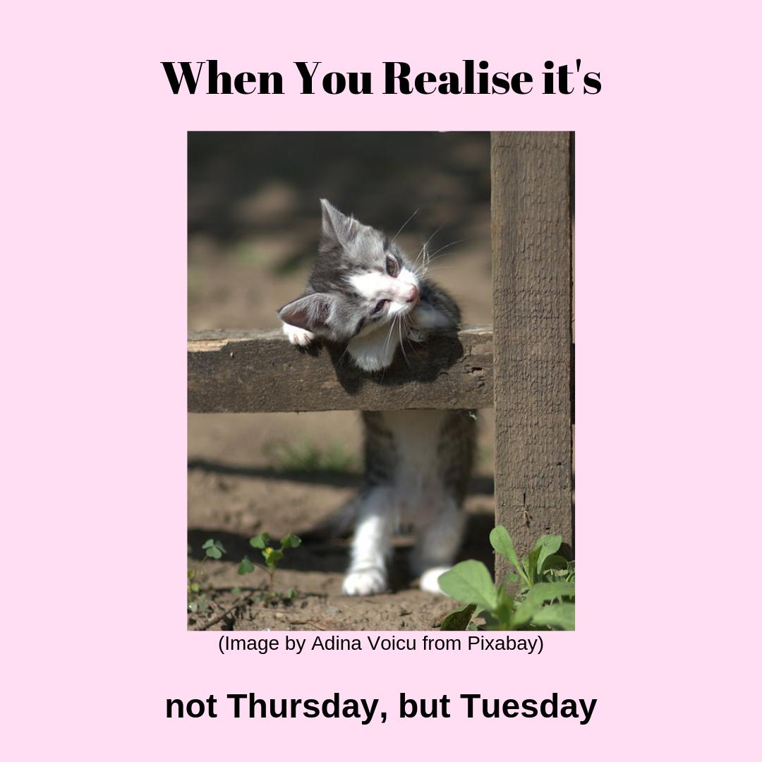 Hugs_MH's tweet photo. Hello everyone!

Yep, actually did this today. Woke up and thought, 'Yipee, it's almost the weekend!' before realising, we've just had the weekend and it's only Tuesday...just a bit disappointing 🤣 💜

#Hugs #Tuesday #nottheweekend https://t.co/fPOWoHz8TI