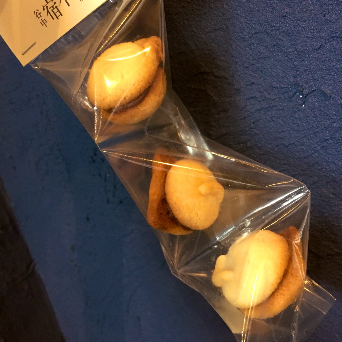 谷中 宿木カフェ レストラン 宿木カフェmenu ずっとお声を頂いていたお持ち帰りもできるクッキーが出来ました その名もbaci Di Gatti 猫のキス イタリアのお菓子baci Di Dama 貴婦人のキス をぬこ様にしちゃいました もちろんすべて手作り