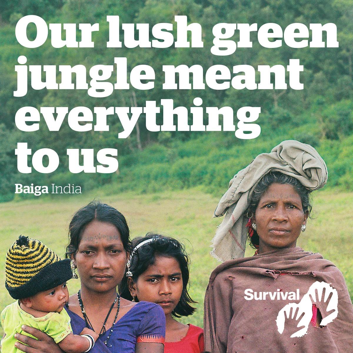 Survival's tweet photo. On 24 July, India could decide to evict vast numbers of tribal people from their jungle homes. If this happens, they will lose *EVERYTHING*

Tell the Indian authorities the world is watching: 
https://t.co/y1tx4ZbZBm

#IndigenousUnderAttack
#AdivasiLivesMatter https://t.co/6i4oCHiwDK