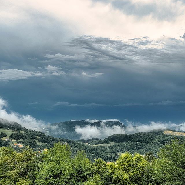 aljosagrega's tweet photo. The jungle.. #badweather #stormchasers  #storms #nature_good  #nature_perfection  #natureboy  #cloudzdelight  #artscloud  #cloudy #slovenija #igzasavje #sky #sky_brilliance #moody #fujifilm #fujifilmxt20 #fujifilmslovenija #stormchasing  #outdoorphotogra… https://t.co/wlh0gahAFU https://t.co/OcUJwjxRc2