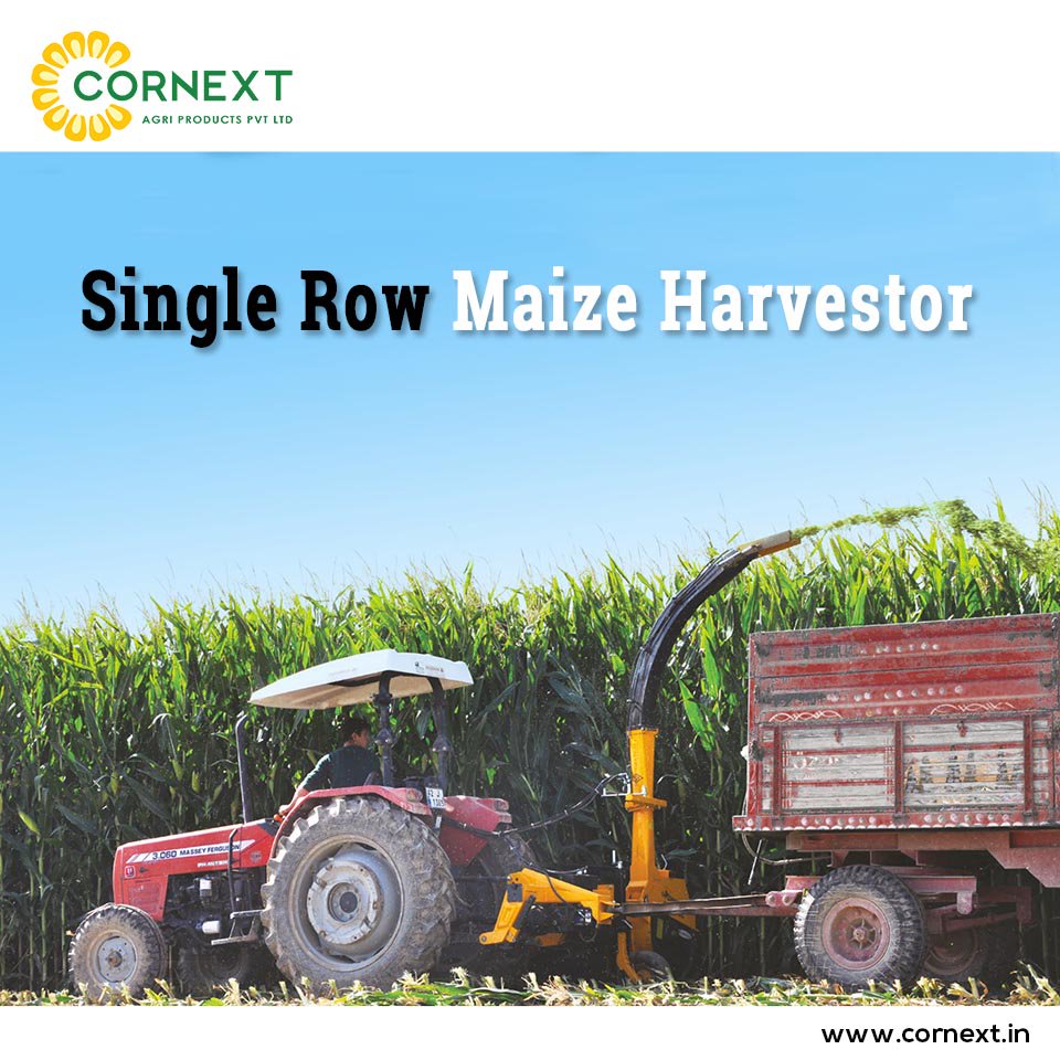 CornextSilage's tweet photo. #SingleRowMaizeHarvestor never tires your tractor through its light structure & strong transmission system; presents more harvesting guarantee with less fuel.
For Enquiries:
E: sales@cornext.in
M: +91 99894 20444
#cornext #silage #msb500 #minisilagebaler #minisilage #forage https://t.co/puEAsU6qRO