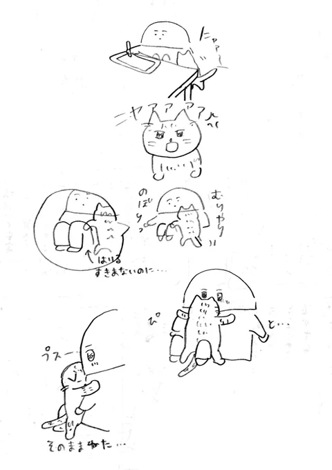 昨日ねこがかわいかったよ 