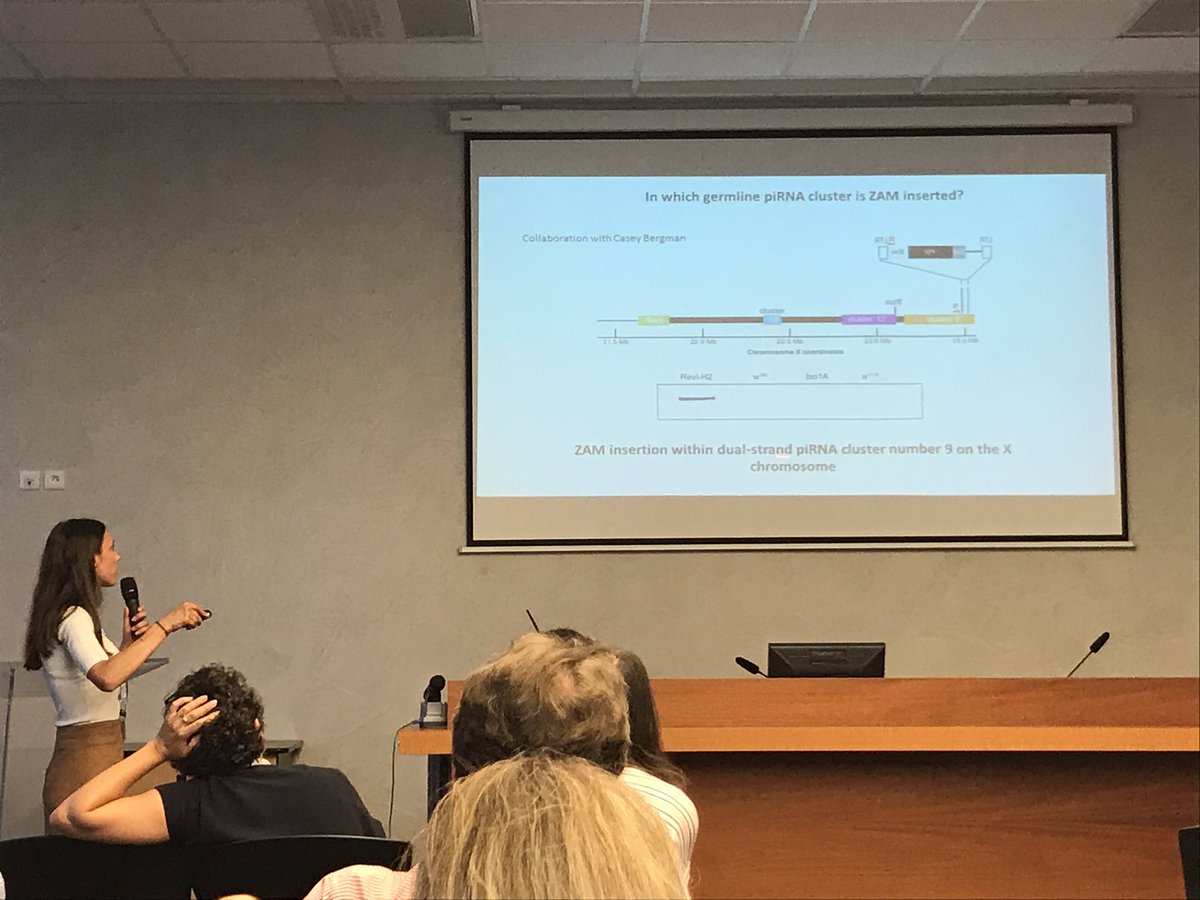 ChantalVaury's tweet photo. Great talk from Marianne Yoth at the national meeting on TEs in LYON https://t.co/Ab5UBfUpBm