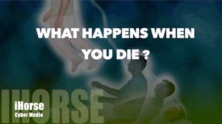 IhorseMedia's tweet photo. #INDvNZ What Happens When You Die? https://t.co/SplUlvWL01 https://t.co/CoBS1vm3uP