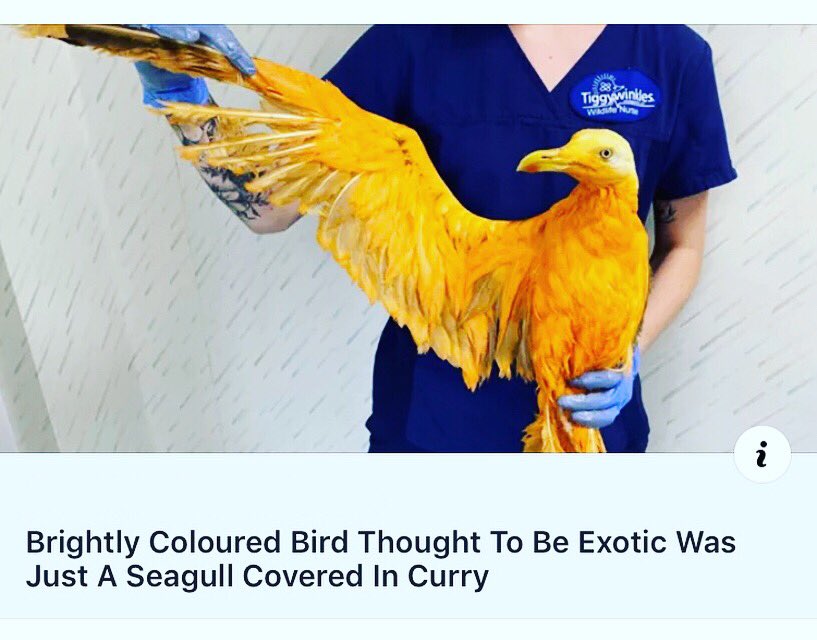I think I’ve just found my spirit animal.