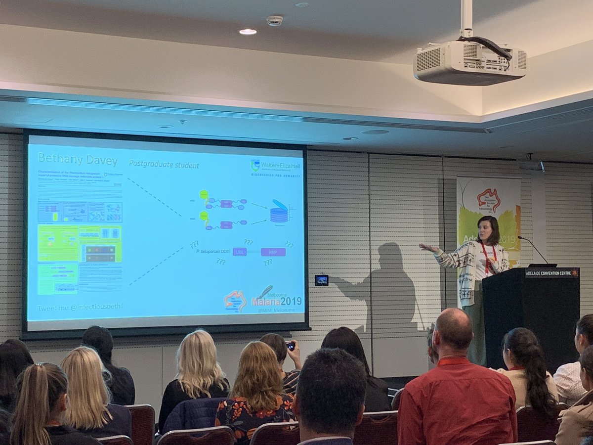 sturalph's tweet image. Thanks for the social media reminder  @InfectiousBeth #2019ASP