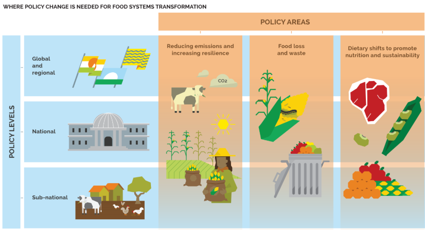 CGIARclimate's tweet photo. New paper on potential policy areas for catalyzing change to #TransformFoodSystems: 1) reduce emissions + increase resilience, 2) tackle food loss/waste, 3) more nutritious & sustainable diets - read the full report: https://t.co/3vl9upq2cT #TransformAgPolicies #AgTransform https://t.co/YQOJbWAWAX
