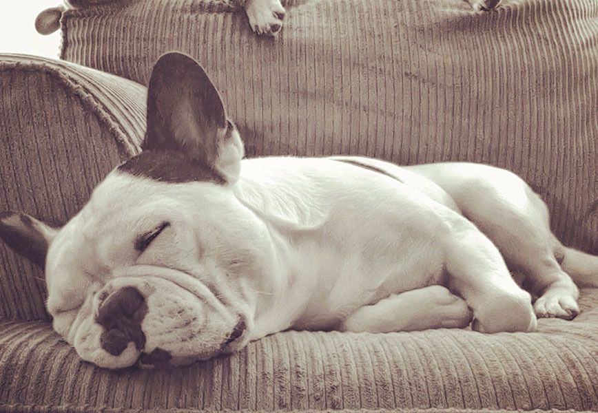 Studio_Fanton's tweet image. Dormire 7/8 ore per notte è indispensabile per preservre una buona qualità della vita e per riposare adeguatamente i nostri #occhi! #EnjoyYourEyes