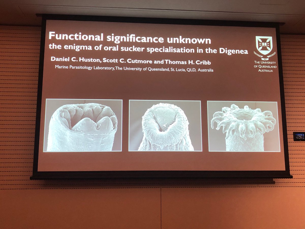 AS_Para's tweet image. #2019ASP poster speed talks are on now! Here’s some of the first slides - is your favourite #parasite featured?