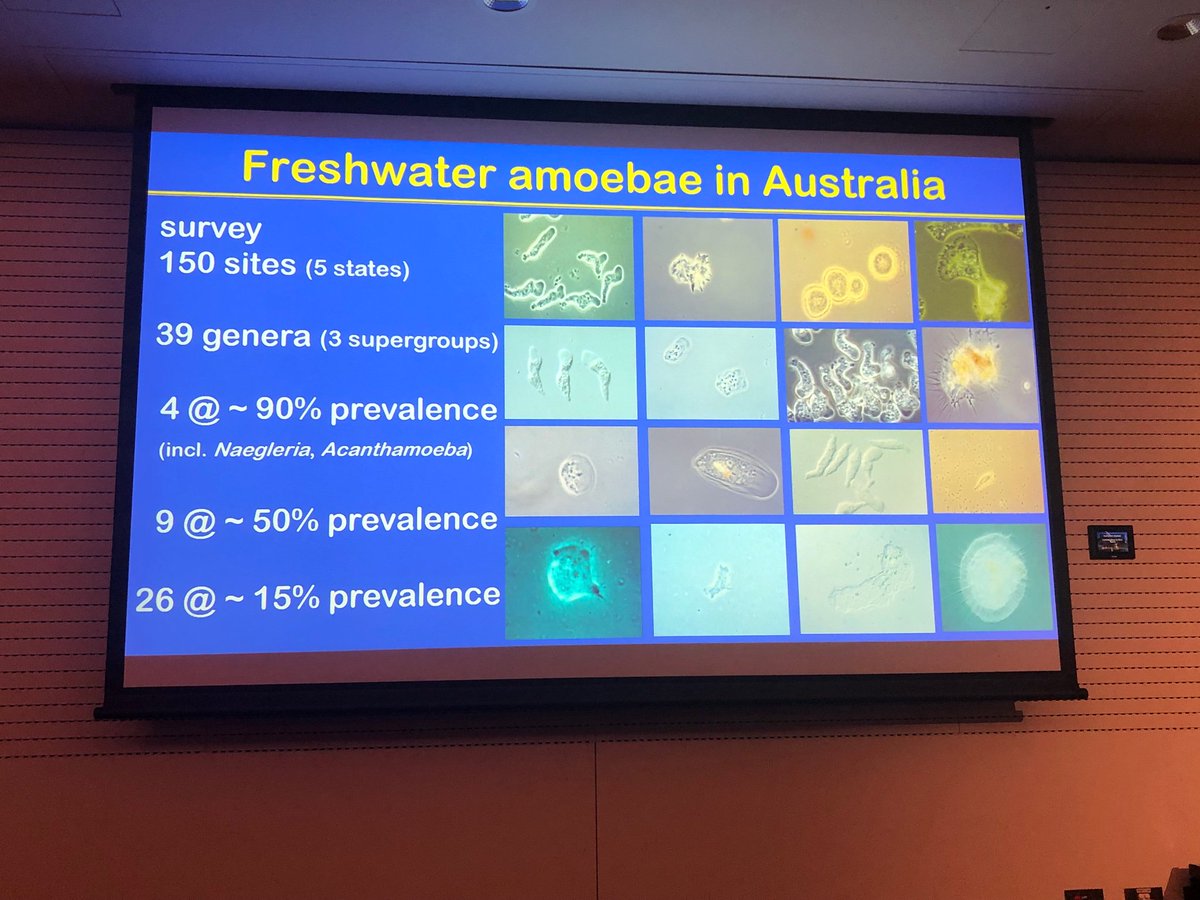 AS_Para's tweet image. #2019ASP poster speed talks are on now! Here’s some of the first slides - is your favourite #parasite featured?