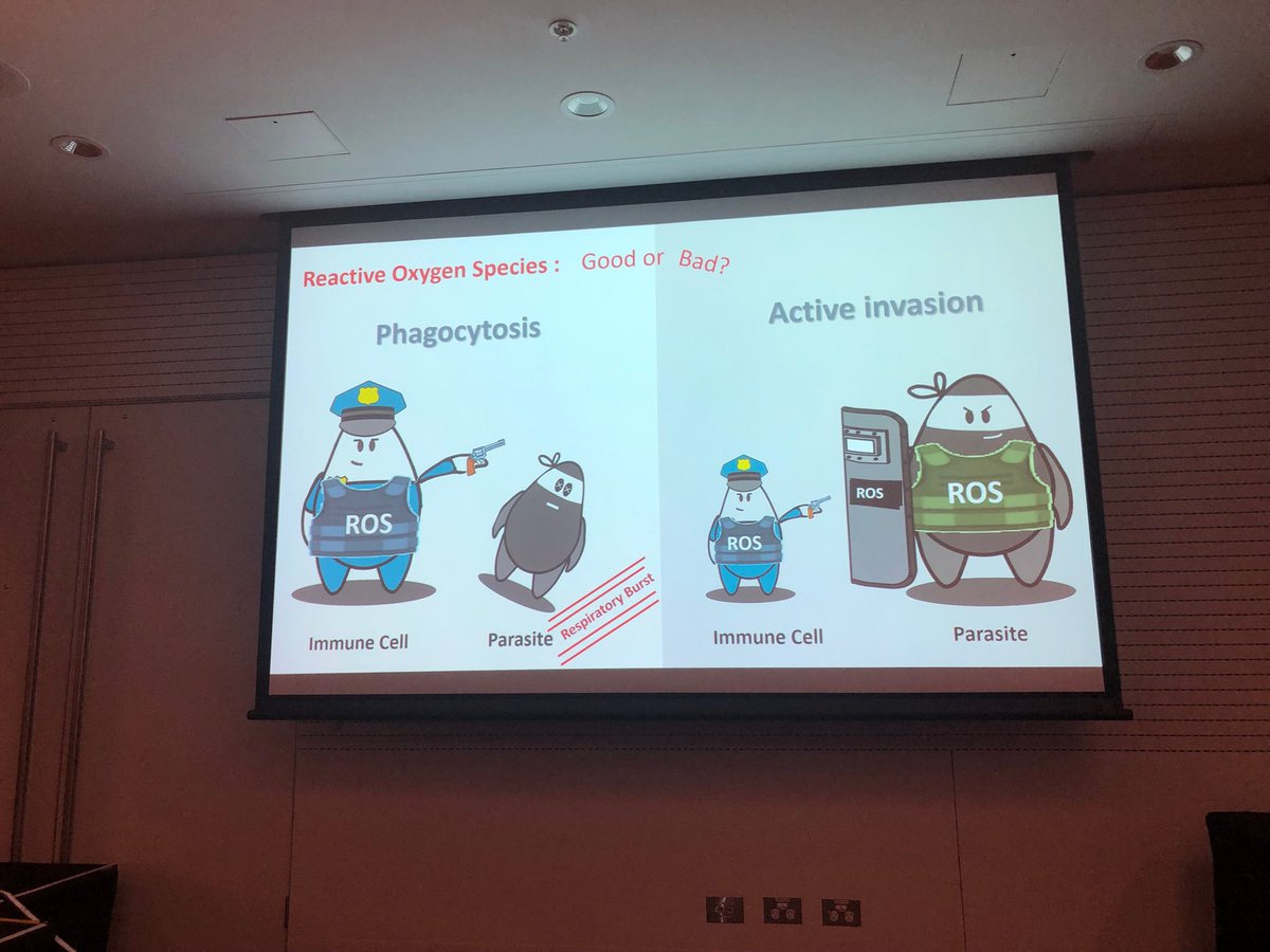 AS_Para's tweet image. #2019ASP poster speed talks are on now! Here’s some of the first slides - is your favourite #parasite featured?