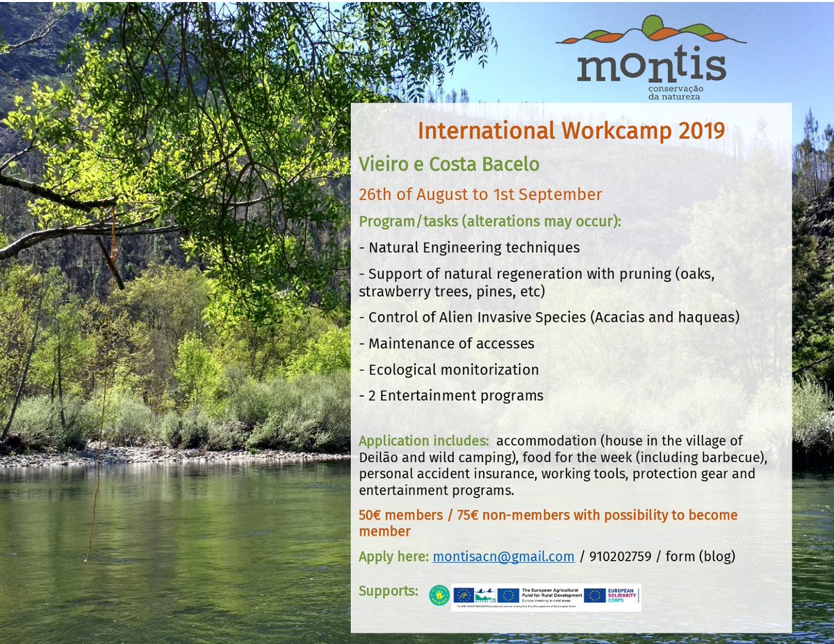 Eurosite Eurosite Twitter - 