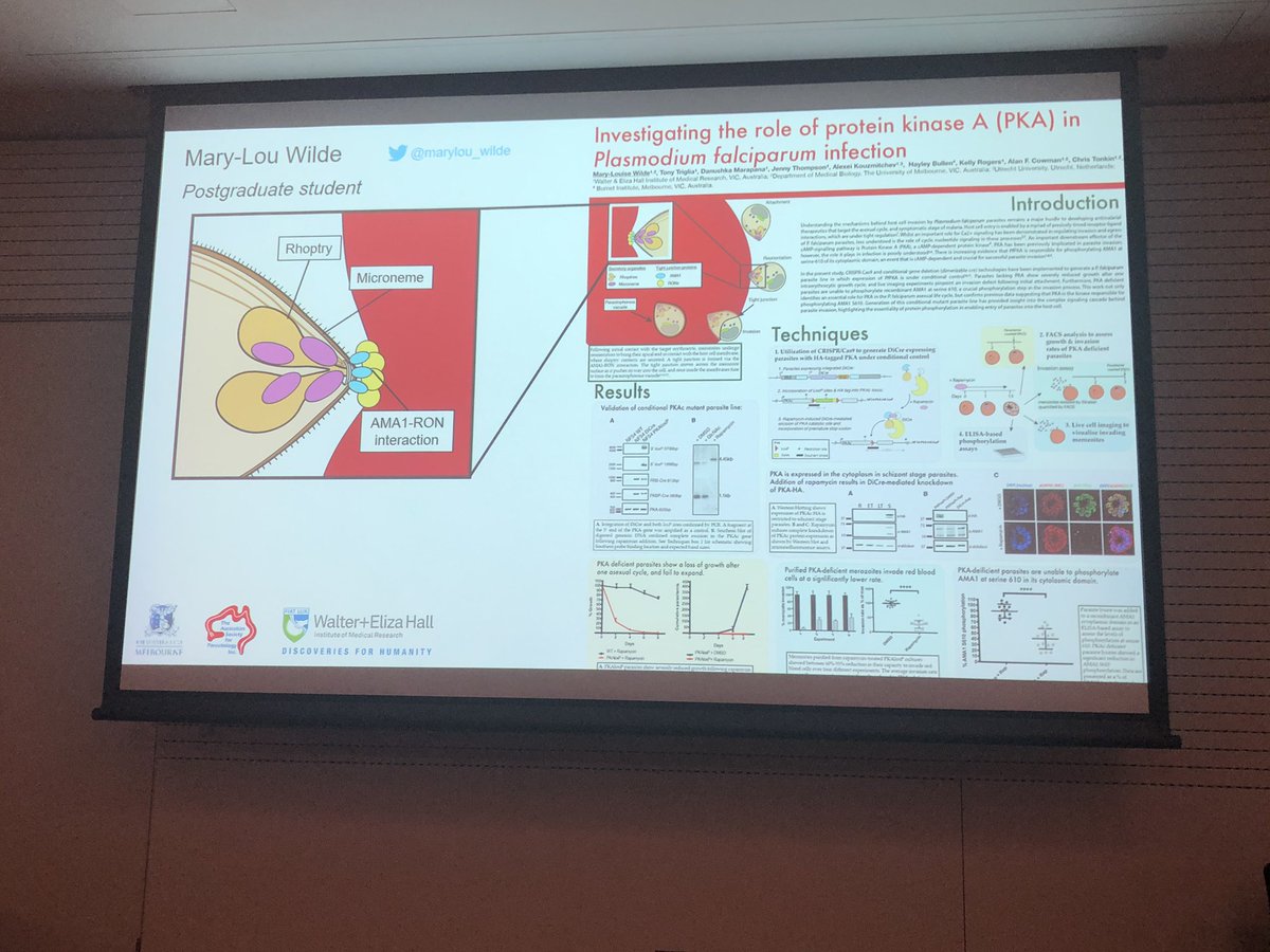 InfectiousBeth's tweet image. @marylou_wilde’s beautiful poster speed talk slide @AS_Para #2019ASP 😍