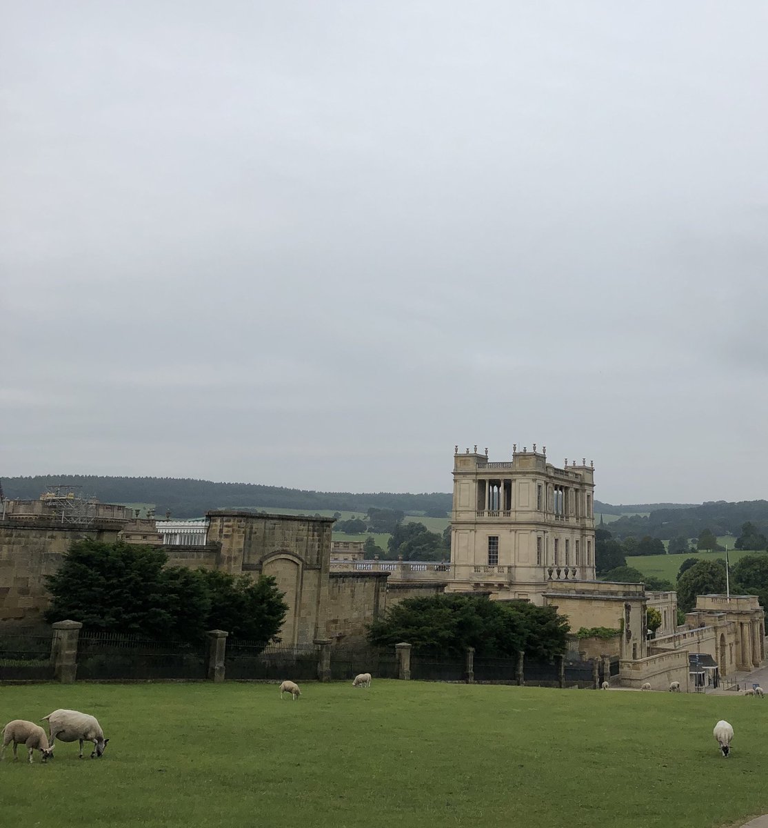 Leanne Hicklin (@leanne_hicklin) on Twitter photo Setting up with the sheep at the long service celebration this morning #LSC19 <a href="/mycoopfood/">Central Co-op Food</a> Setting up with the sheep at the long service celebration this morning #LSC19 <a href="/mycoopfood/">Central Co-op Food</a>