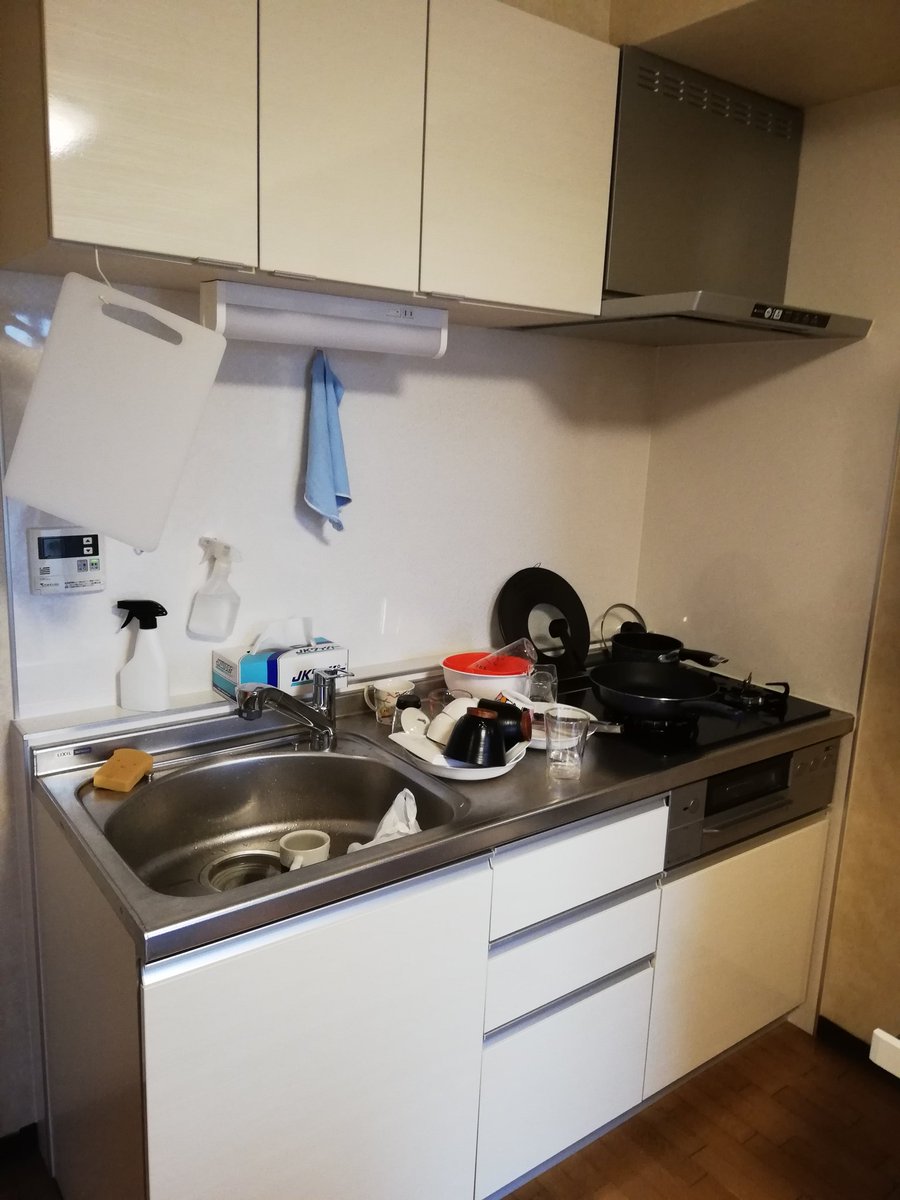 れぼみ リセットやったやった またすぐご飯作るんだけどね W 水切りかご 三角コーナー 排水口のフタ キッチンマット まな板の吊り下げは便利 水がぽたぽた落ちても下がシンクだからok 片付け リセット