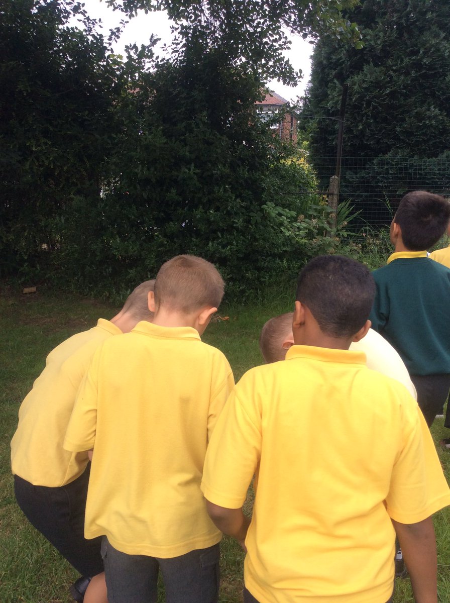 firsprimarysale's tweet photo. #Year4SC out and about already this morning doing a tree survey. We'll be using our data to create some charts later on. #outside #activemaths #manchesterweather https://t.co/te5kv6naN3