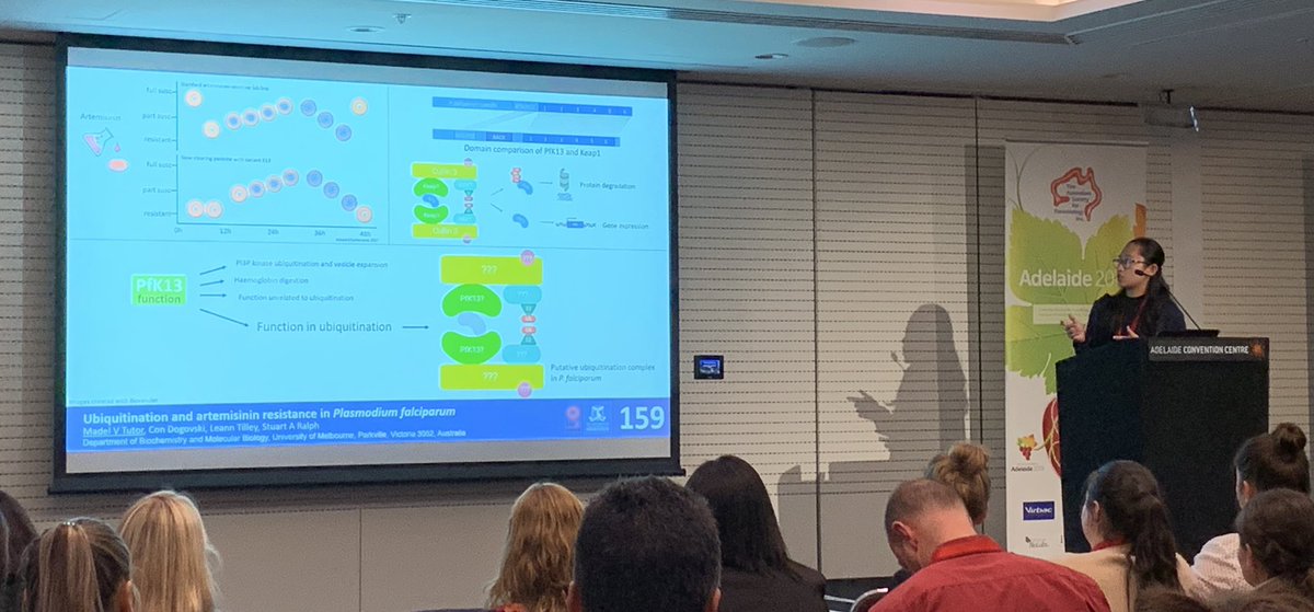 sturalph's tweet image. Ralph lab represent! Go @madelvtutor #2019ASP