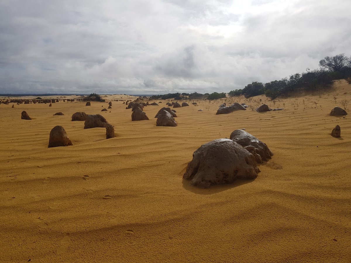 Jake Dean tweet media