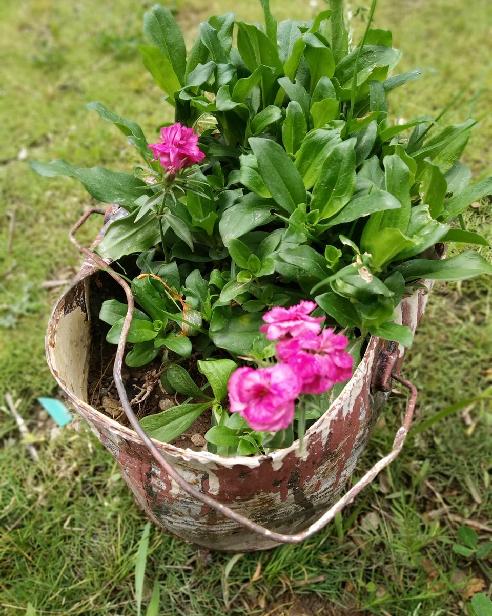 SanchPal's tweet image. When you reuse and recycle, you end up with a bucket full of happiness! #prettyandpractical #plasticfreejuly #upcycled