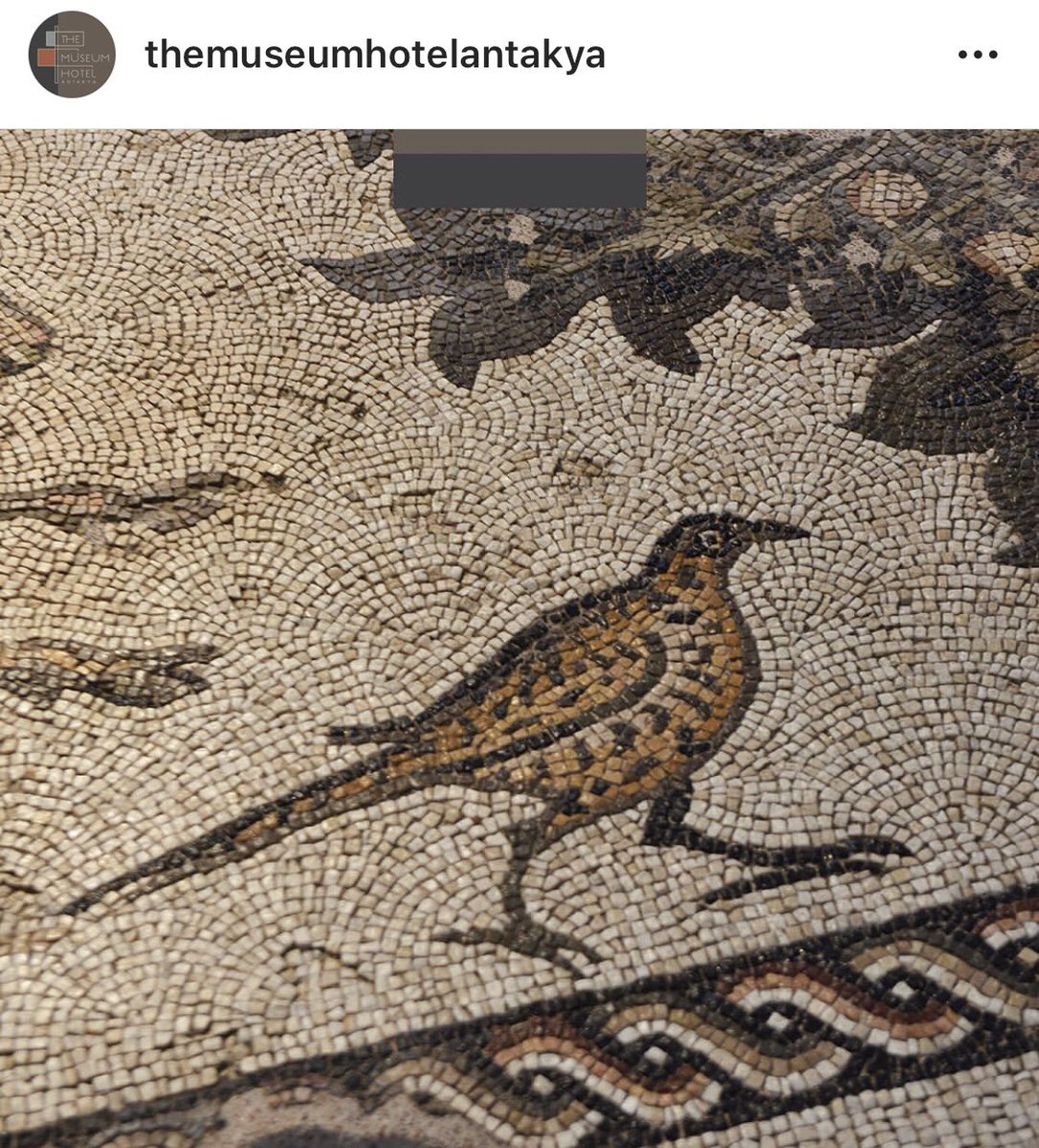 New photos emerge of the astounding ancient mosaics found during the construction of the @themuseumhotel in Antakya, Turkey. The mosaic in the first image is utterly dazzling in its complexity. [Images: Antakya Hotel on Instagram:  https://instagram.com/themuseumhotelantakya?igshid=1xjkh02r3pcos]