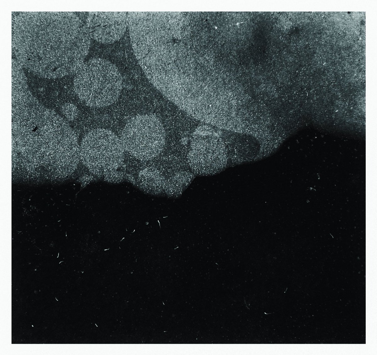 AnSolasOir's tweet photo. Aurora...

#foundlandscape 
#smartshots
#abstractart 
@BWPMag https://t.co/ua5wEeZYpZ
