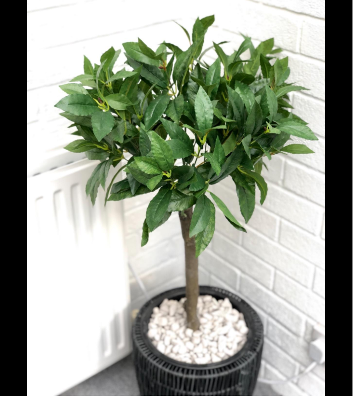 rockincolour's tweet photo. A great way to brighten up indoor plant pots, Rockincolour White Mist stone gives a clean fresh feel to any application. 
https://t.co/uR5lp83YjY https://t.co/dIowHXFKBL