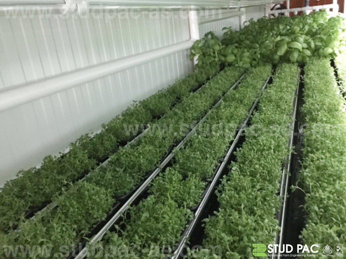studpacas's tweet photo. Stud Pac || Advanced Farm Engineering Solutions || +971561637077 || info@studpac-as.com || https://t.co/KbVabRbnqn https://t.co/LrRyYrAson