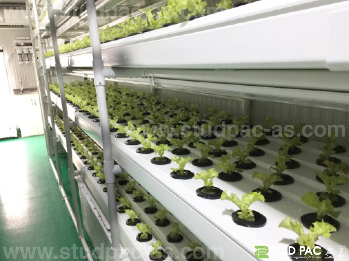 studpacas's tweet photo. Stud Pac || Advanced Farm Engineering Solutions || +971561637077 || info@studpac-as.com || https://t.co/KbVabRbnqn https://t.co/LrRyYrAson