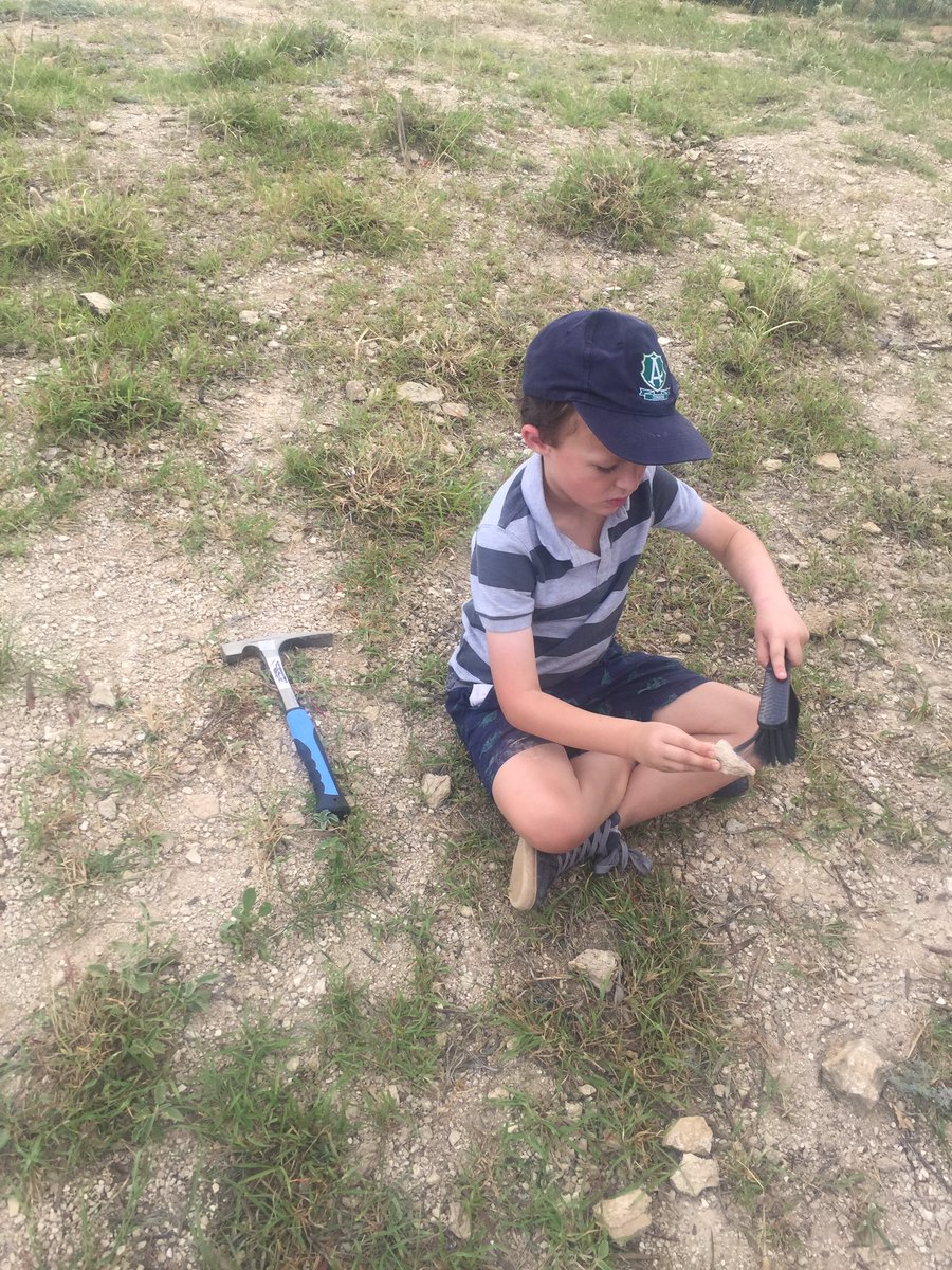 PlushSally's tweet photo. Kissed a Cooyoo today, fossicked for fossils all in Richmond at #kronosauruskorner what a fabulous place, coolest bins to date. #fossilfamily #carhasmorerocks #needmoretupperware https://t.co/uB818QQnnI