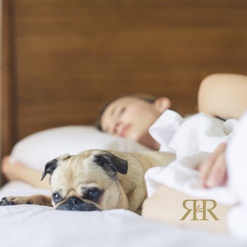 A good night’s sleep is vital for your health &amp; wellbeing.  As sleeplessness starts to become a little more common as we get older, we have some useful tips to help you achieve good nights rest.

riseandrecline.co.uk/news/elderly-s…