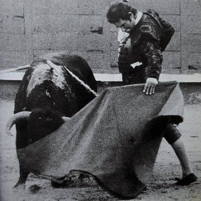 Sin ser una revolución, cuando Paula mostraba sus revelaciones no había más revoluciones que las suyas solas.