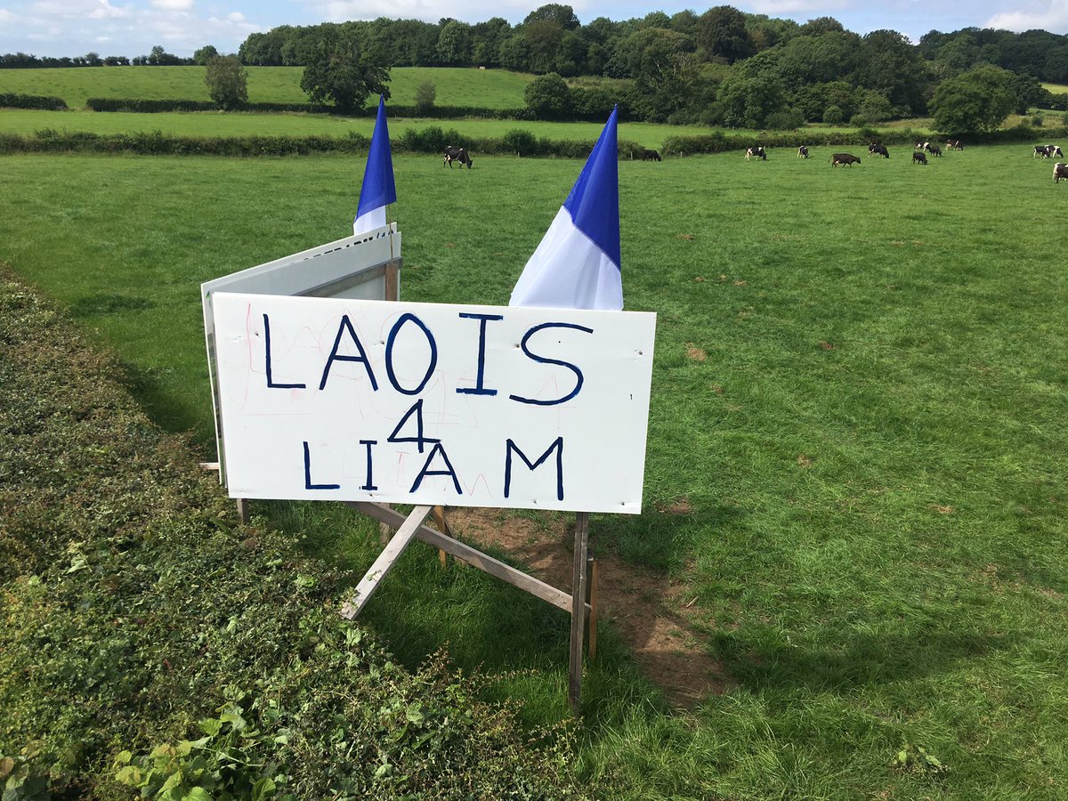 Paul Hyland 🐄 tweet media