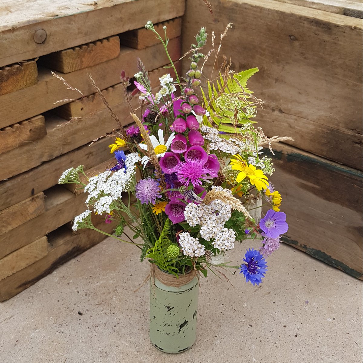 cwfnursery's tweet image. Fresh from the nursery this morning #cumbriawildflowers #nativebritishwildflowers #fresh #meadows #carlisle #cutflowers #growwild  #pollinators #flowers #growwildflowers #wildflowerhour #nofilter