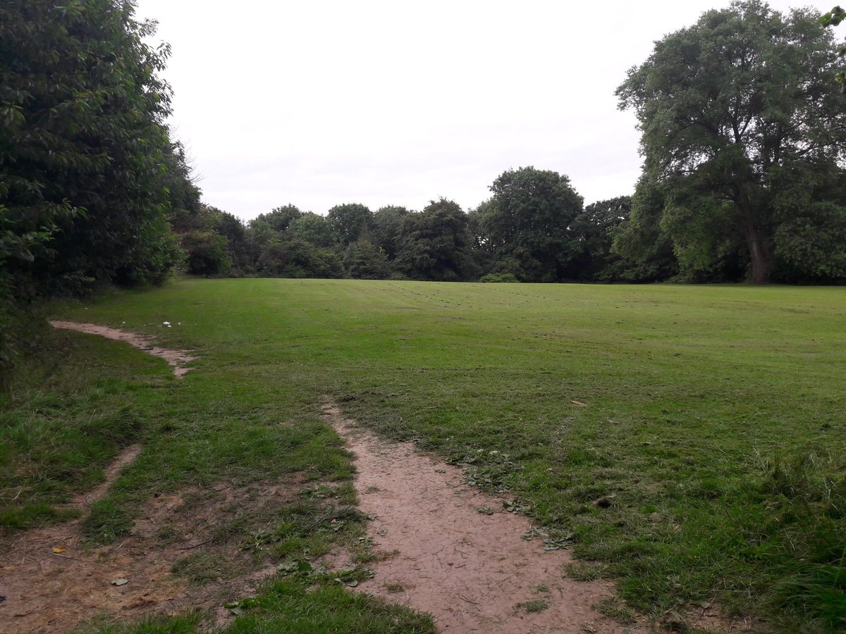 outdoorperscrip's tweet photo. 3 South Purdown fields, 2 are mown, 1 left as a meadow. The meadow is teeming with wildlife, why do the other 2 need to be mown? @OldLibrary_EV @BrisParksForum @bristolparks @NTGates #nomow https://t.co/jbHqgzAWpE