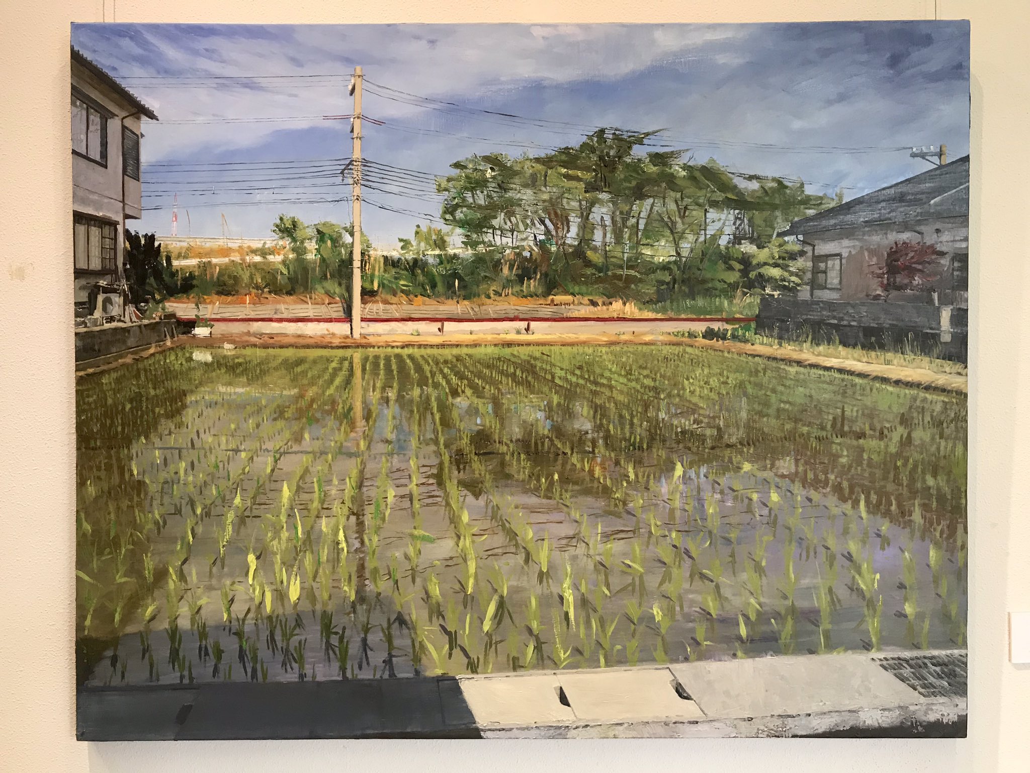 油絵 原画 写実 風景画 油絵 原画 写実 風景画 風景画 絵画 油絵 森 小川 n. akasaka