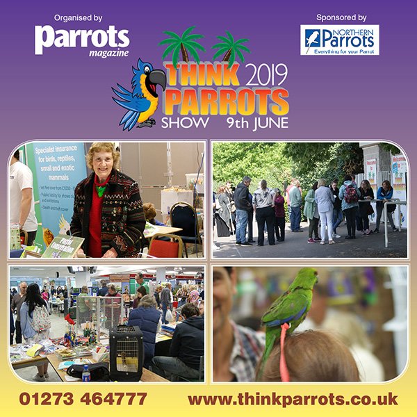 Here are some photos from the recent Think Parrots Show 2019, more lovely memories….

#parrotsmagazine #thinkparrotsshow #northernparrots #parrot #pets #parrots #birds #petlovers #parrotlovers #birdlovers #parrotlife