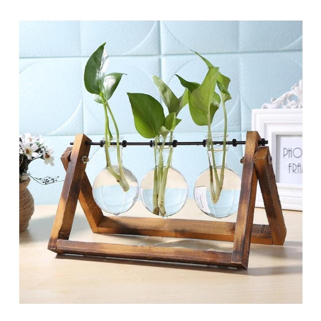 Plants are LIFE 🍃
If you are a houseplant lover, you should visit this link: …-for-the-love-of-plants.myshopify.com/collections/ - - - - - - - -🍃🍃🍃🍃 #TeenChoice #StrangerThings #SALI #gazetesozcu #KaneWilliamson #disneylandfight #TheBachelorette