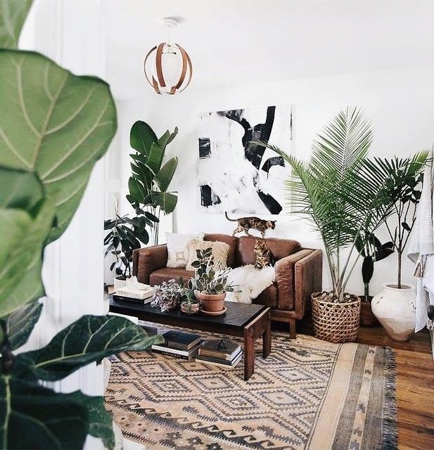 Plants are LIFE 🍃
If you are a houseplant lover, you should visit this link: …-for-the-love-of-plants.myshopify.com/collections/ - - - - - - - -🍃🍃🍃🍃 #TeenChoice #StrangerThings #SALI #gazetesozcu #KaneWilliamson #disneylandfight #TheBachelorette