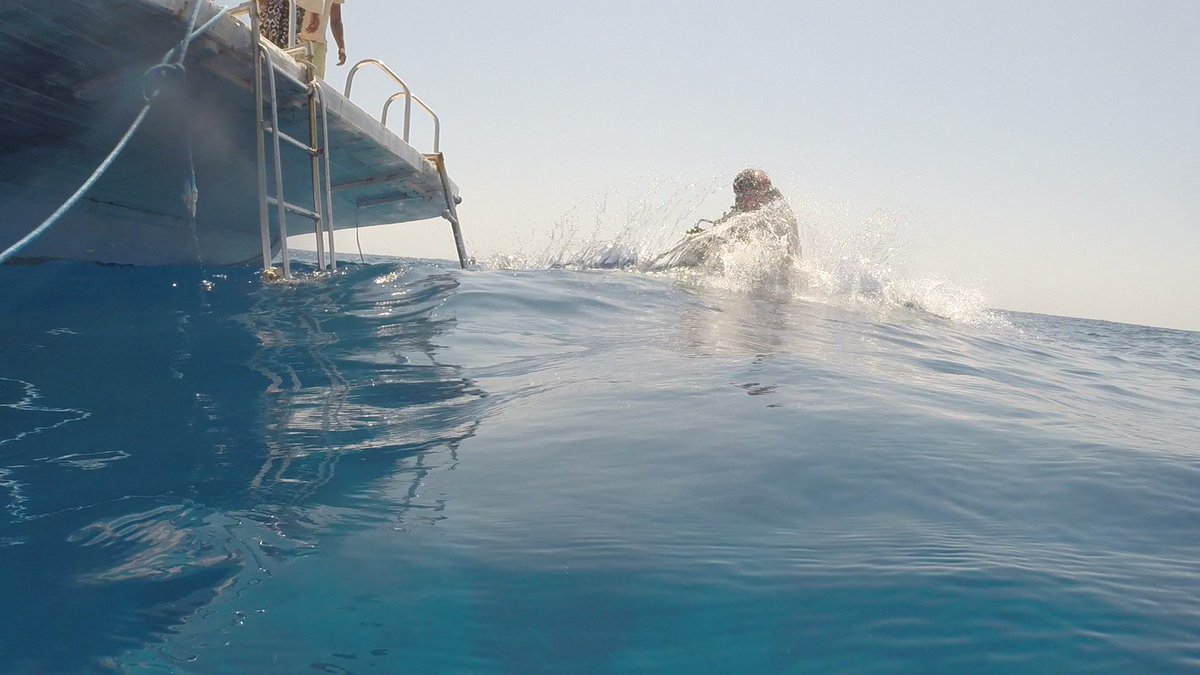 MillfieldScuba's tweet photo. Great pictures taken by Mr Dobbs of Mr M entering the water from the stern of the boat. @MillfieldSenior @MillfieldBio @MFDUltimate @MillfieldDance @diverse_travel https://t.co/WqaV68DStF