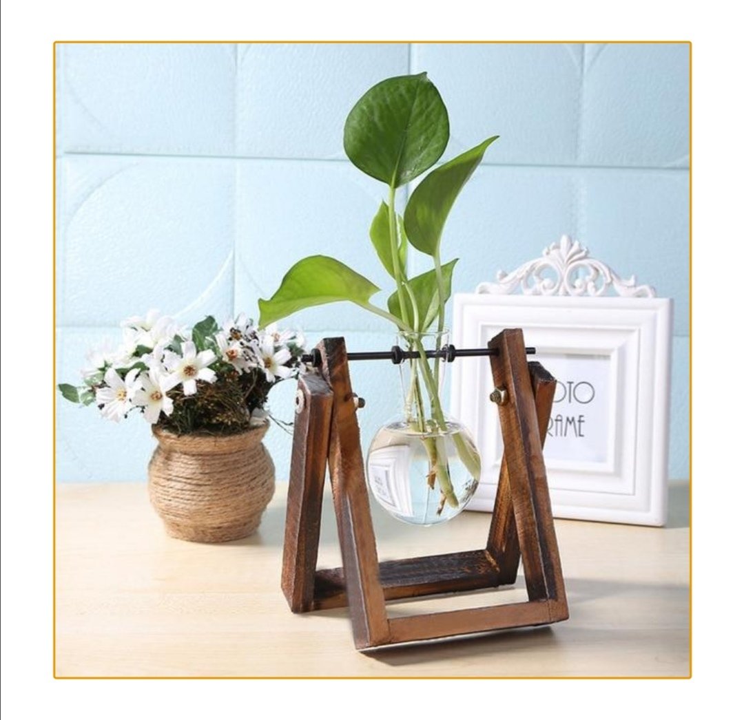 Plants are LIFE 🍃
If you are a houseplant lover, you should visit this link: …-for-the-love-of-plants.myshopify.com/collections/ - - - -- -🍃🍃🍃🍃
Use LOVEPLANTS25 and get 25%OFF and FREE shipping 🌱🌱🌱
#TeenChoice #StrangerThings #SALI #gazetesozcu #KaneWilliamson #disneylandfight #TheBachelorette
