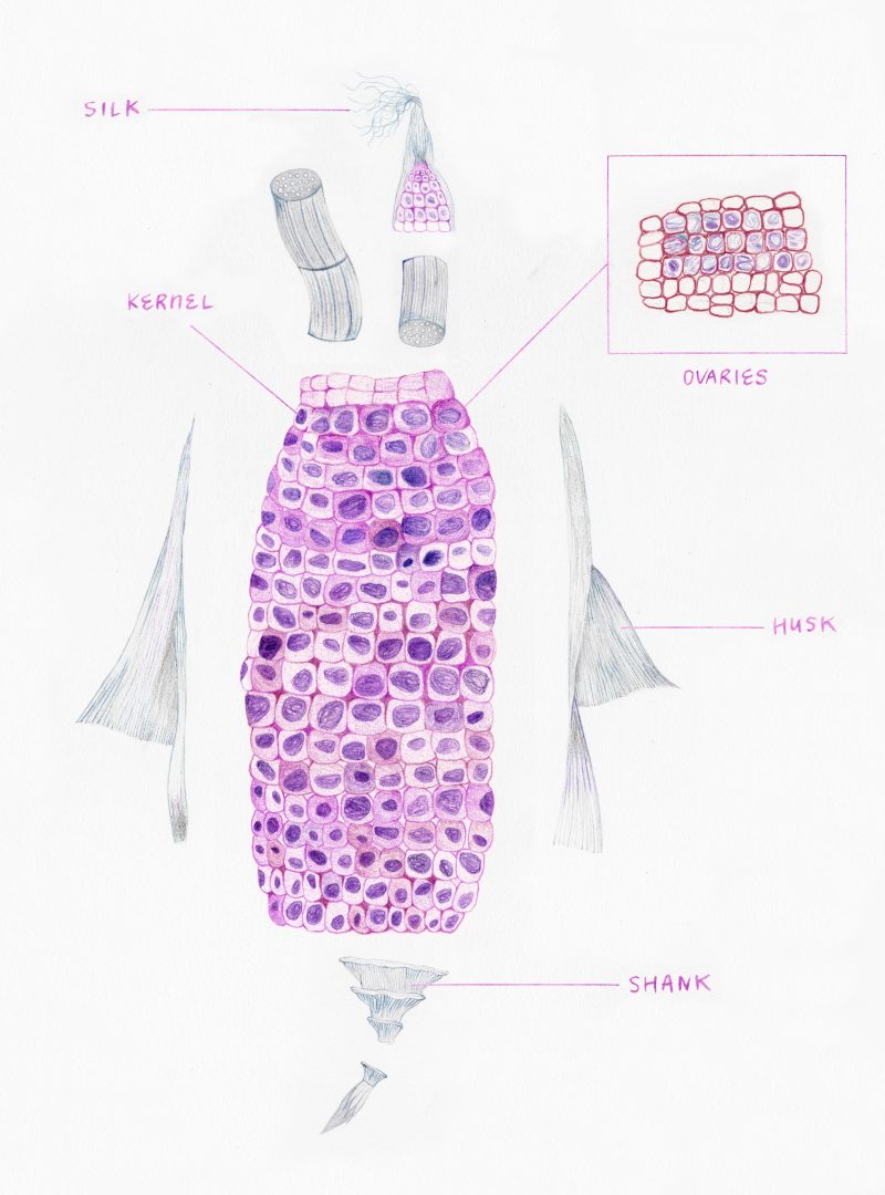 de Sarthe is pleased to announce its third annual de Sarthe Artist Residency (deSAR) as well as its resident artist, Wing Po So (b. Hong Kong 1985). The gallery space will be open to the public during normal gallery hours from 10 July to 31 August. 

ow.ly/oufy50uFRrS