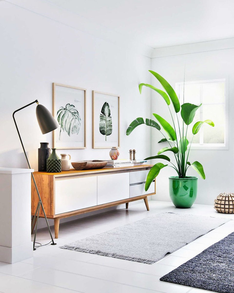 Plants are LIFE 🍃
If you are a houseplant lover, you should visit this link: …-for-the-love-of-plants.myshopify.com/collections/ - - - -- -🍃🍃🍃🍃
Use LOVEPLANTS25 and get 25%OFF and FREE shipping 🌱🌱🌱
#TeenChoice #StrangerThings #SALI #gazetesozcu #KaneWilliamson #disneylandfight #TheBachelorette