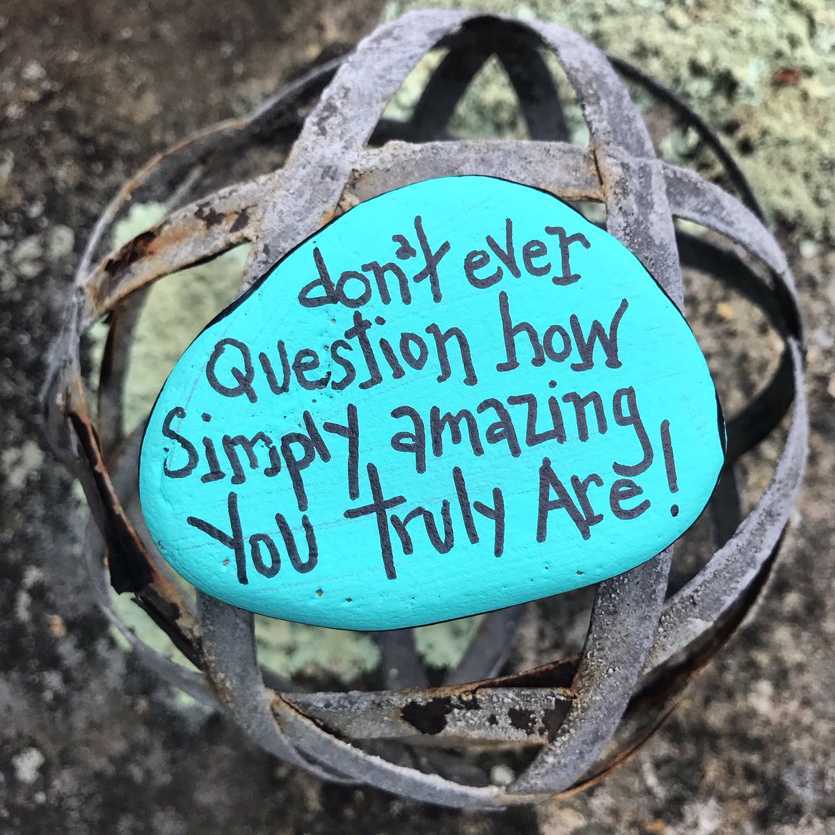 theKindnessrock's tweet image. That had to be said❤️
#thekindnessrocksproject