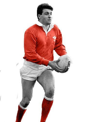 SeagullRugby's tweet photo. Minis and Juniors Registration Day set for Sunday August 11th #11amstart @MarkRing10 making an appearance on the day #dateforthediary https://t.co/gvyx9R6awp