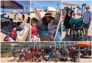 WLAPOM's tweet photo. Check out the July 2019 WLAPOM Newsletter - https://t.co/nNrhC89Qxv https://t.co/3Jhz3OGXkr