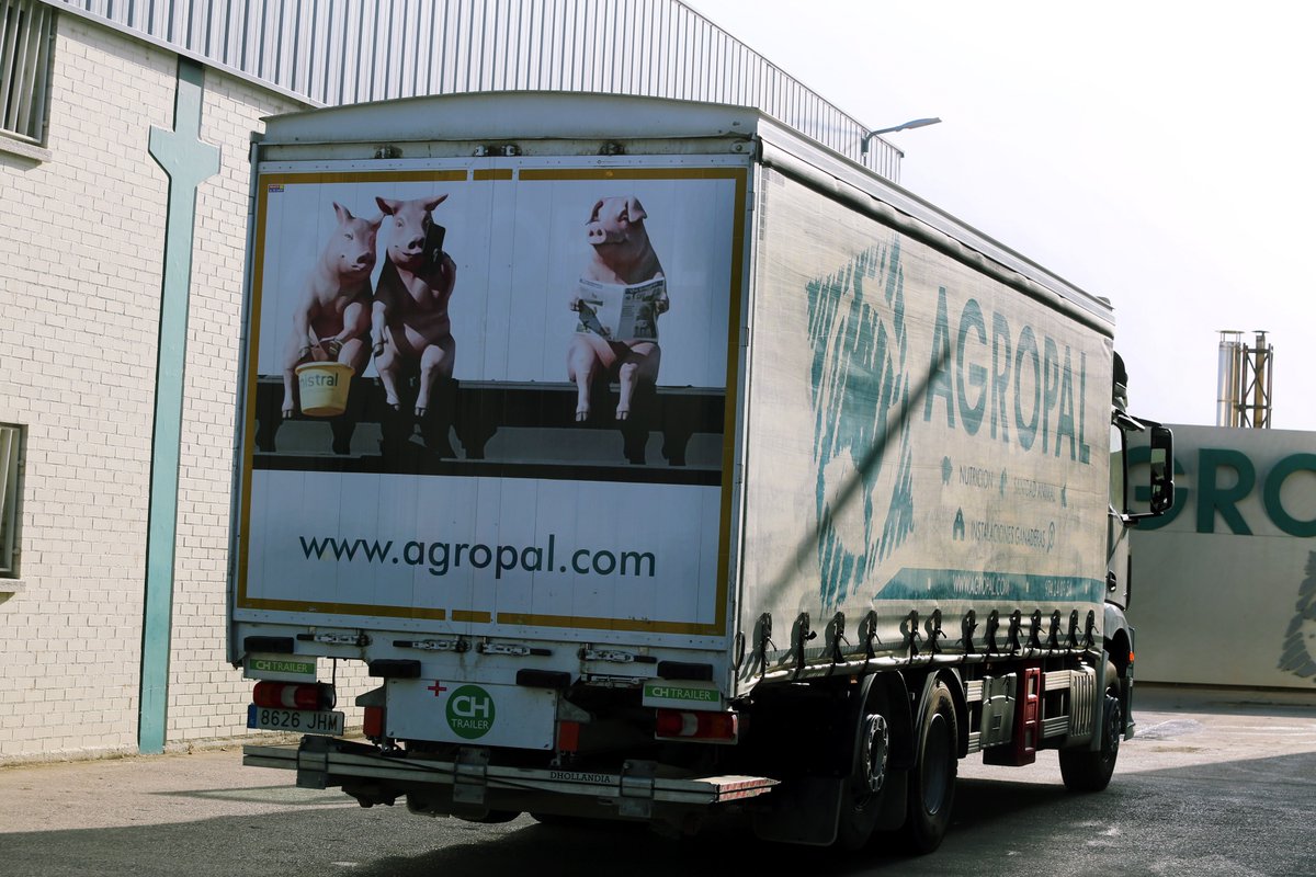 Todos los de nuestra edad y condición <a href="/hombrerevenido/">Hombre Revenido</a> , debiéramos imitar al cerdito de <a href="/AgropalHuesca/">AgropalHuesca</a> que lee sin parar <a href="/altoaragon/">Diario del Altoaragón</a> gracias a Julio de <a href="/tecmolde/">TECMOLDE</a> Cultura es leer libros y periódicos, <a href="/libreros/">Roger Michelena</a> . Gracias a <a href="/inaalmudevar/">IgnacioAlmudévar</a> por su idea y grandeza. Leyendo somos mejores