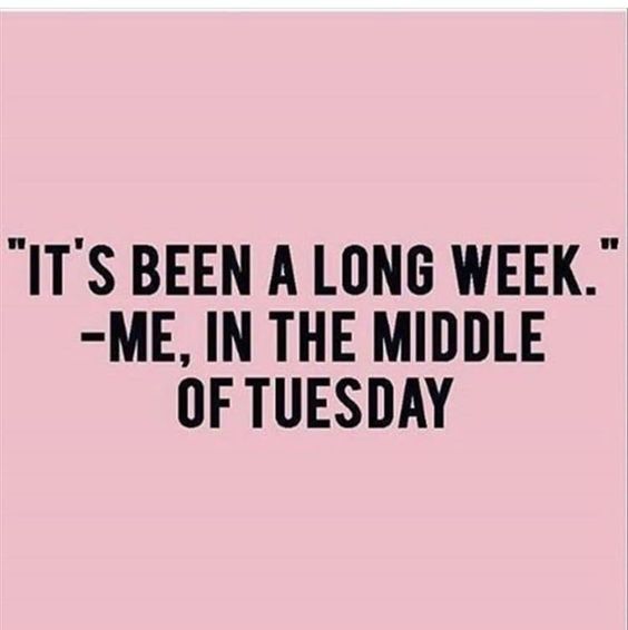 Honestly though...🤨