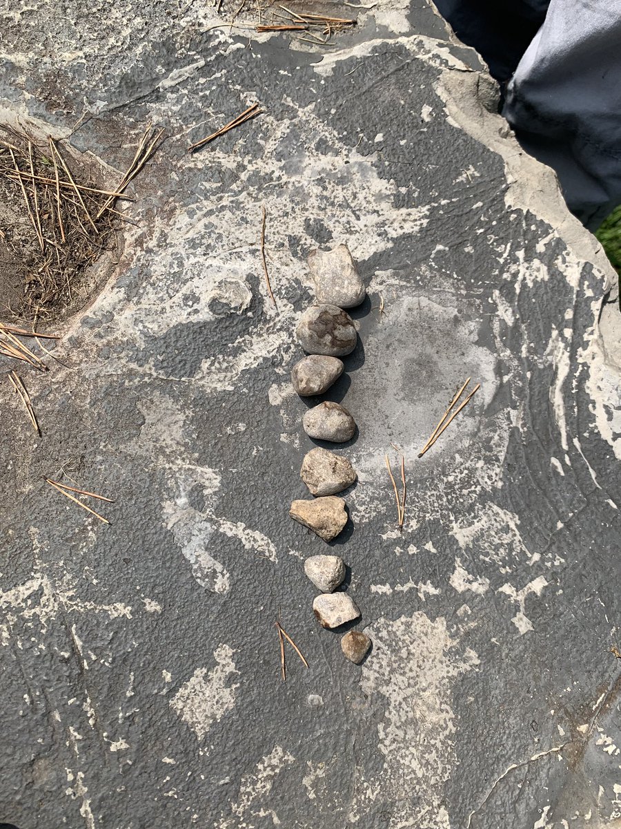 mrslapadat's tweet image. We had a great time at @LdnEEC today with our Summer Numeracy campers! @MelindaMickmel @TVDSBmath @principlcoachTV #mathtrails