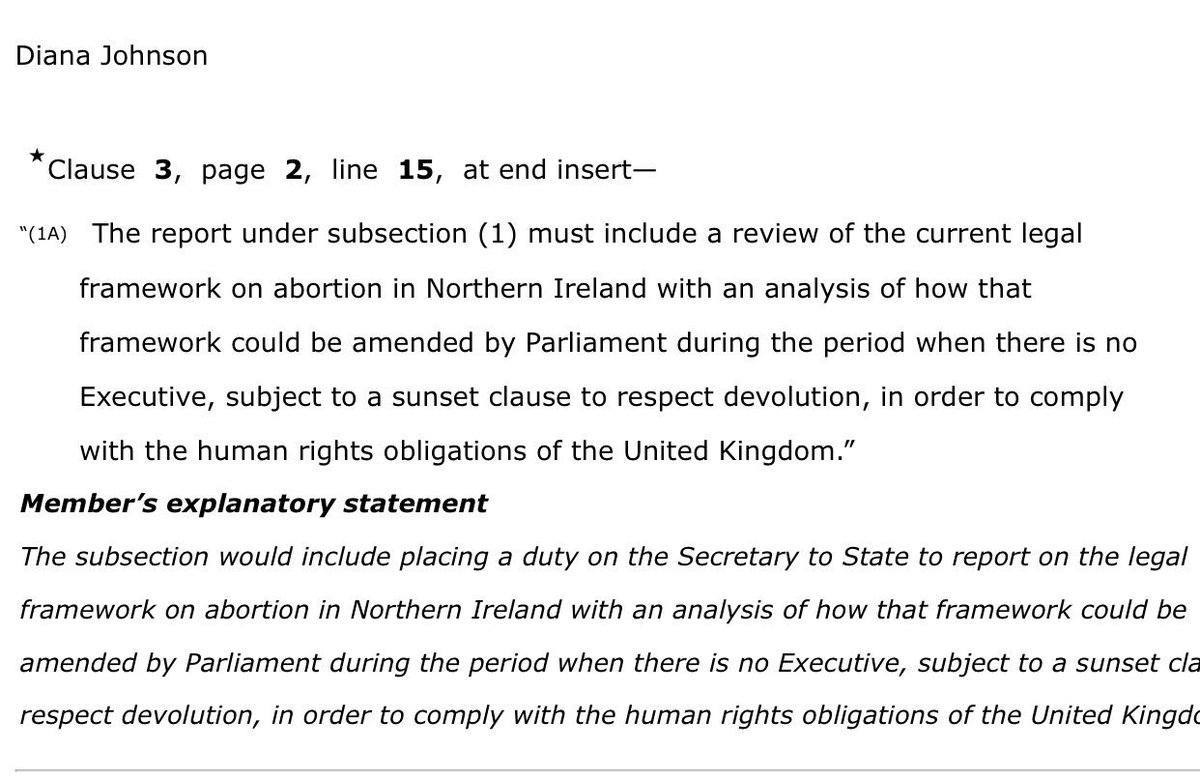 DianaJohnsonMP's tweet photo. Government now agreed to accept my amendment 9 #NowForNI @bpas1968 @AmnestyUK https://t.co/aKpuWBeFgI
